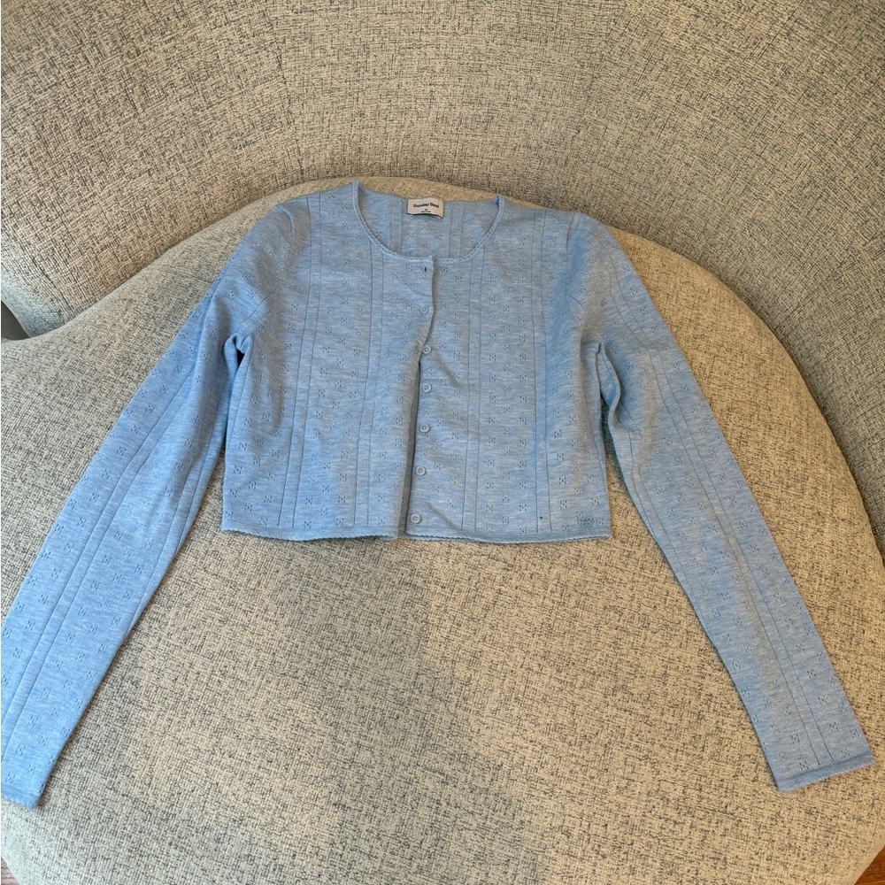 Aritzia Light Blue Button-Up Cardigan